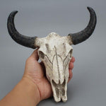 Buffalo Skull Head Decoration